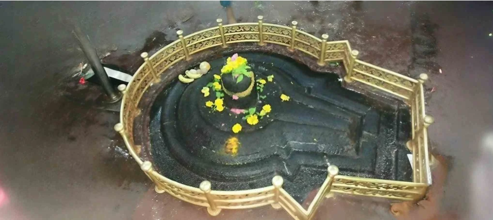 Kedarnath Darshan Pooja